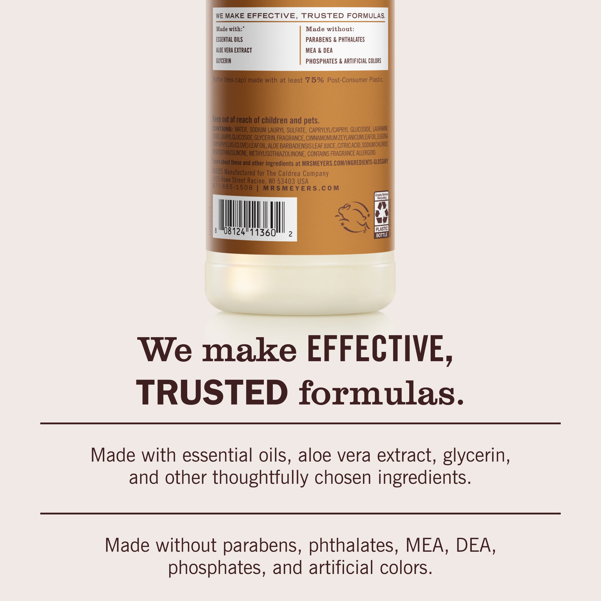 Acorn Spice Dish Soap - Image 6