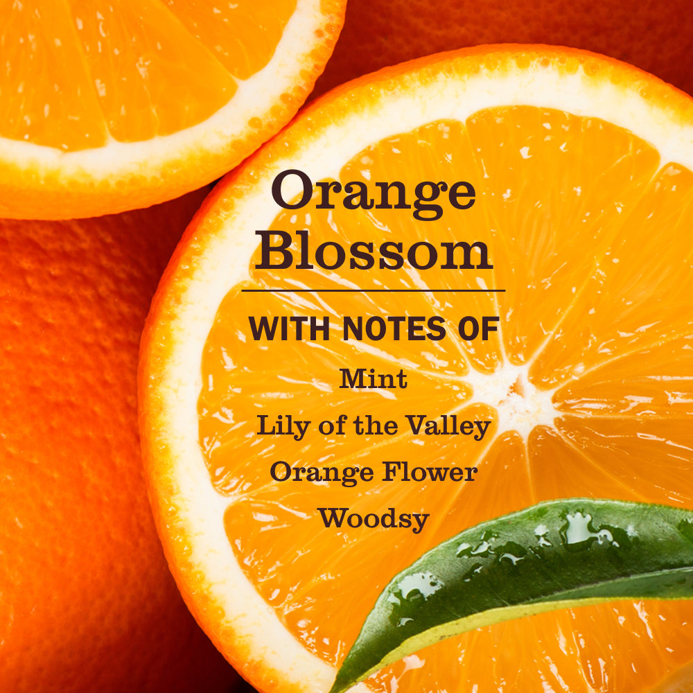 Orange Blossom Pet Multi-Surface Cleaner - Image 3