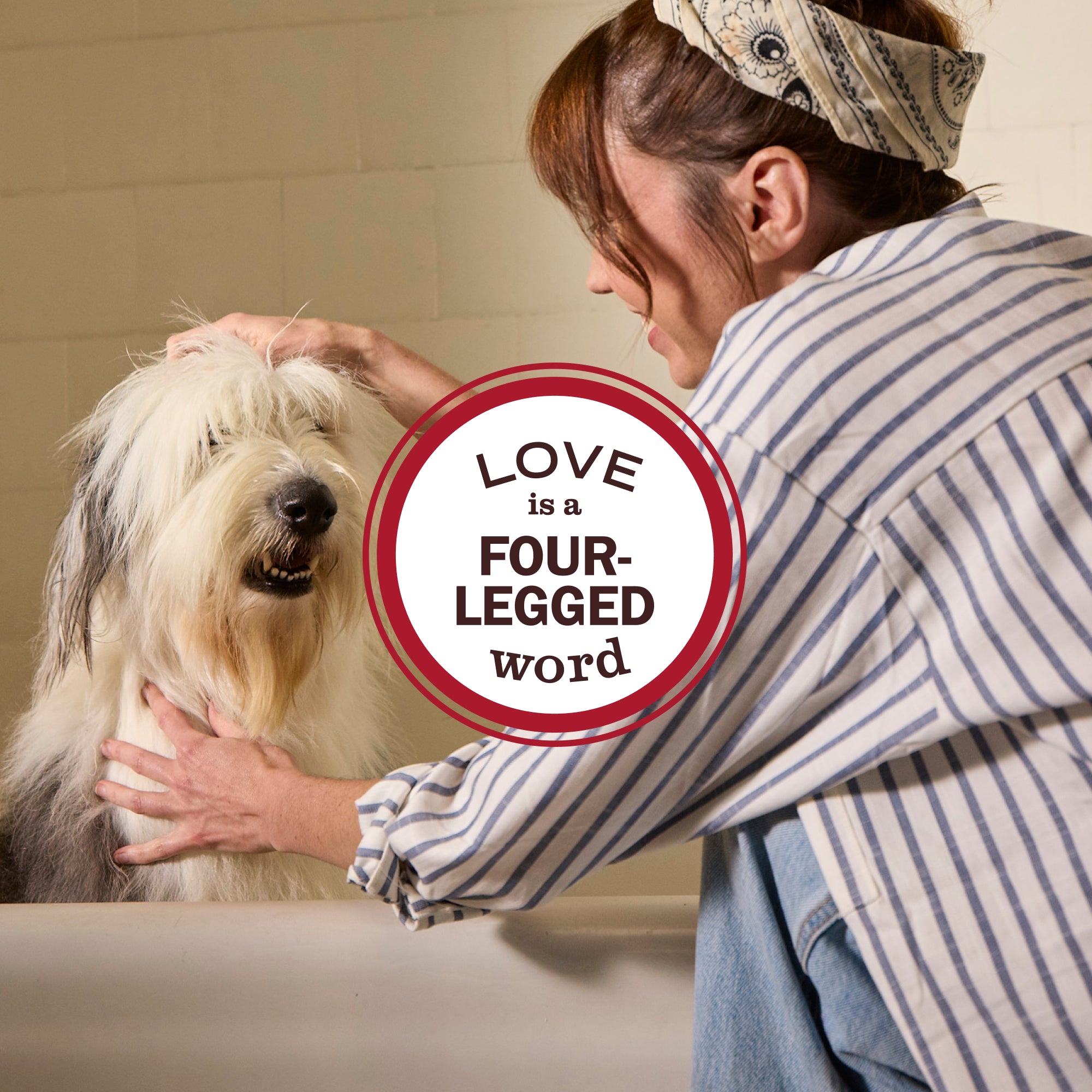 White Peach 3-in-1 Dog Shampoo - Image 9