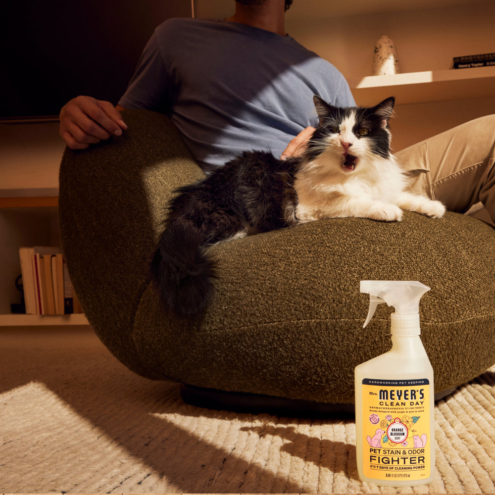 Orange Blossom Pet Stain & Odor Fighter - Image 7