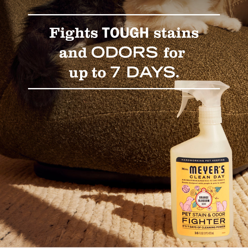 Orange Blossom Pet Stain & Odor Fighter - Image 4