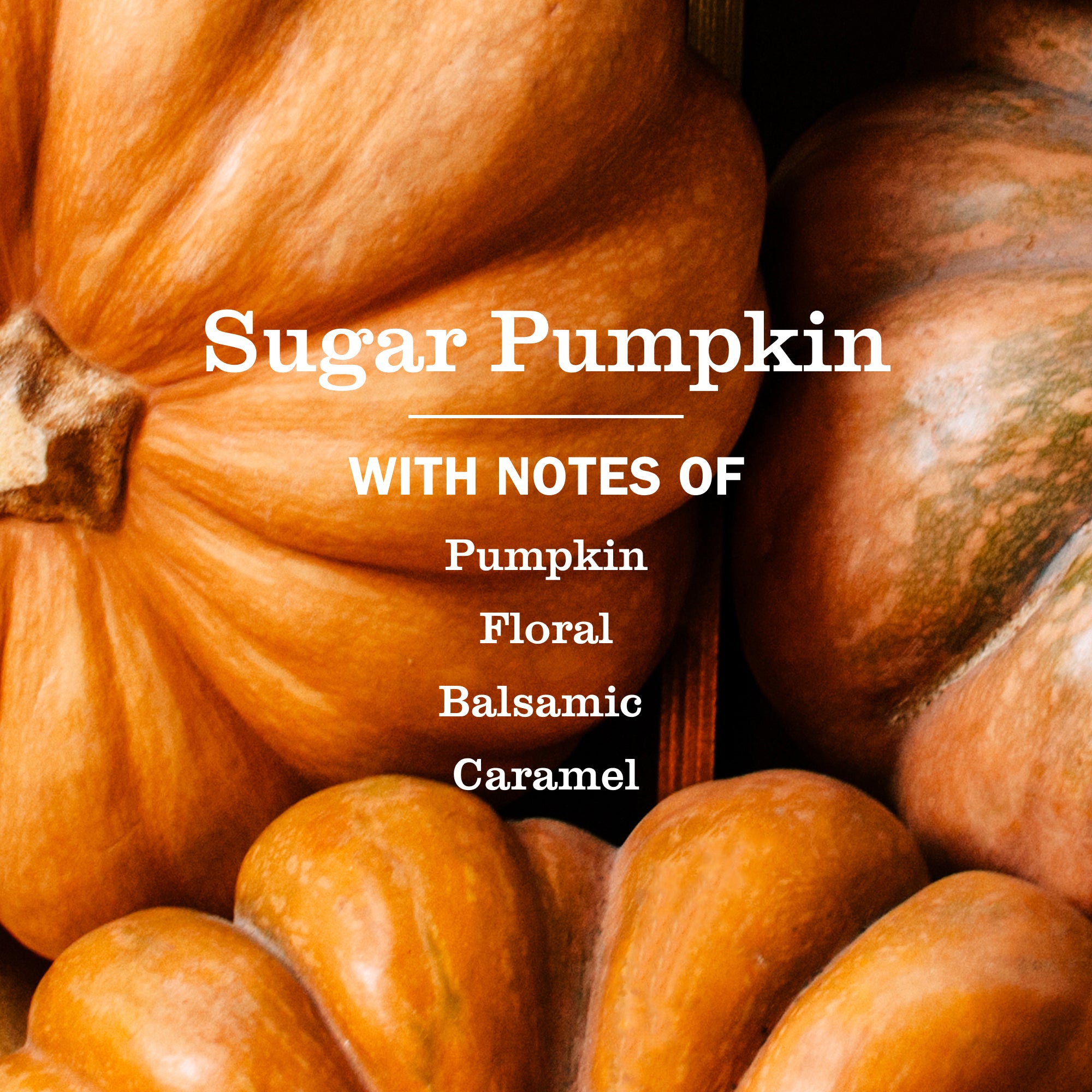 Sugar Pumpkin Liquid Hand Soap - Image 3