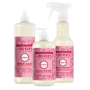 Peppermint Kitchen Basics Set