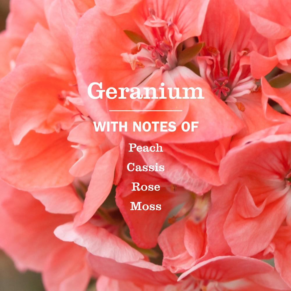 Geranium Liquid Hand Soap - Image 4