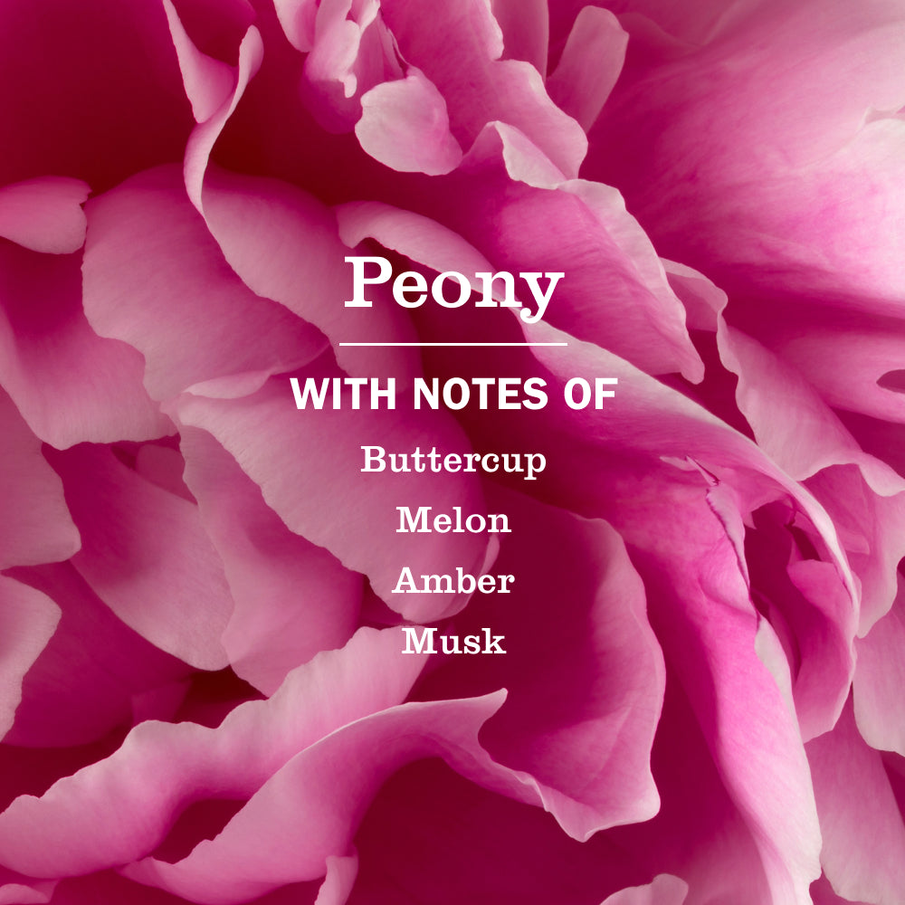 Peony Liquid Hand Soap Refill - Image 4