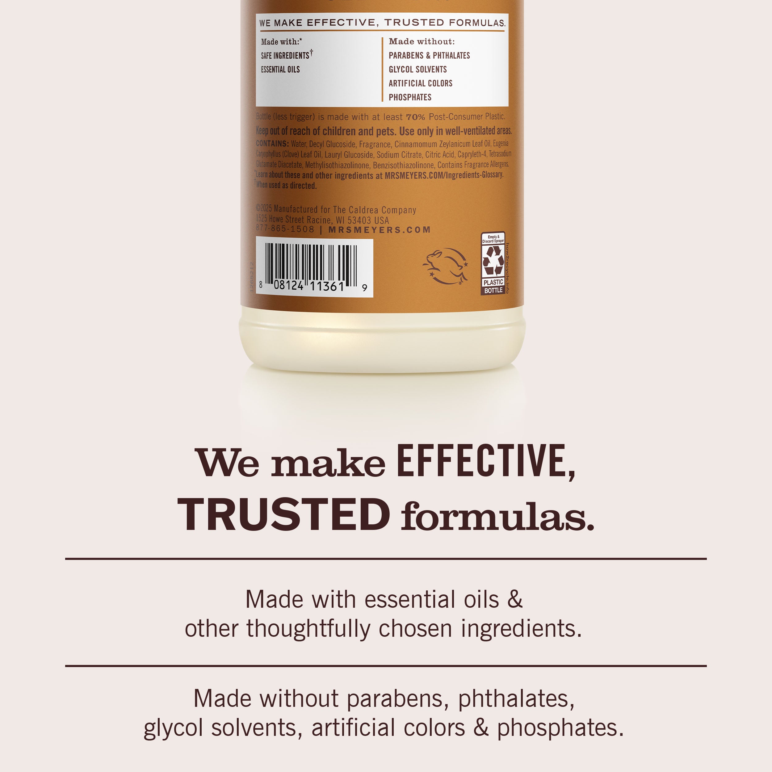 Acorn Spice Multi-Surface Everyday Cleaner - Image 6