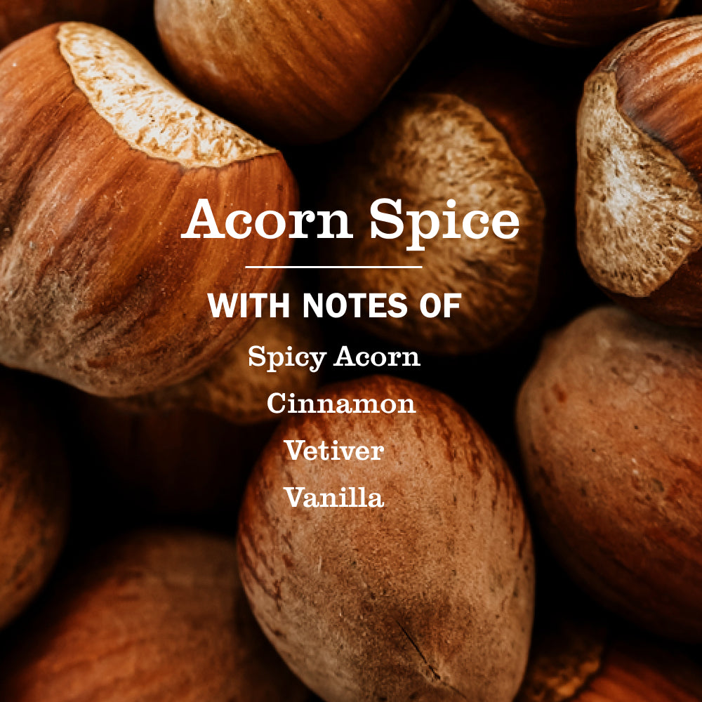 Acorn Spice Multi-Surface Everyday Cleaner 3-count Bundle - Image 4