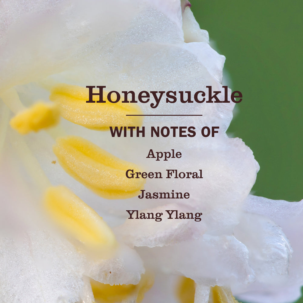 Honeysuckle Multi-Surface Concentrate - Image 4