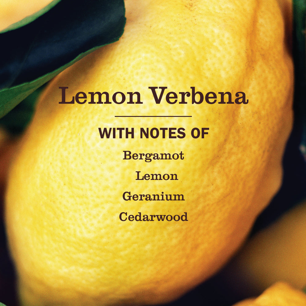 Lemon Verbena Liquid Hand Soap - Image 4