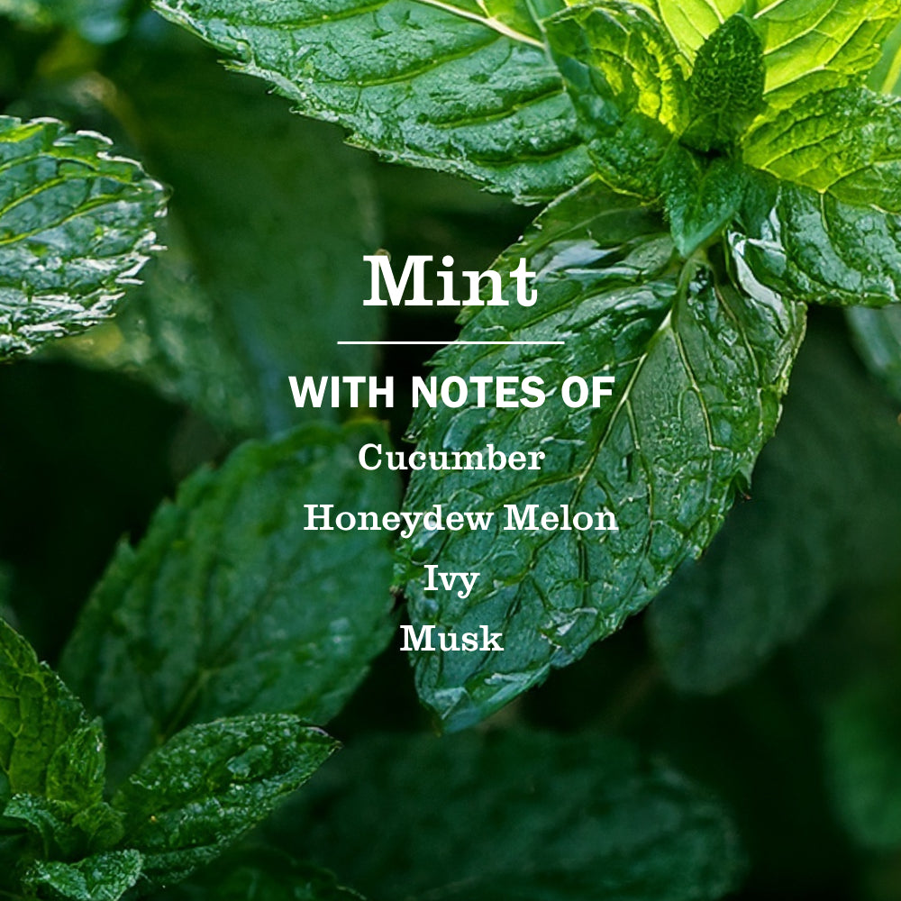 Mint Room Freshener - Image 4