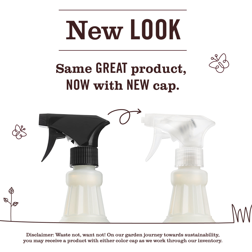 Acorn Spice Multi-Surface Everyday Cleaner - Image 3