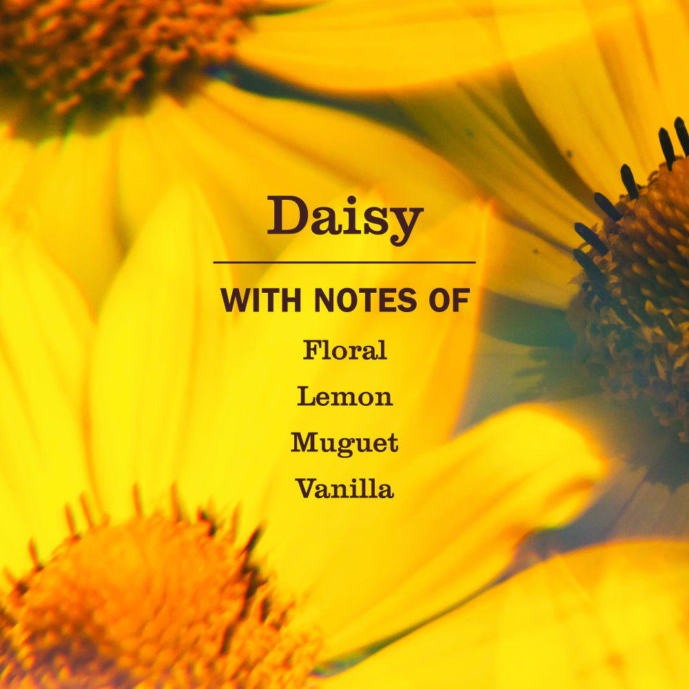 Daisy Multi-Surface Everyday Cleaner - Image 4