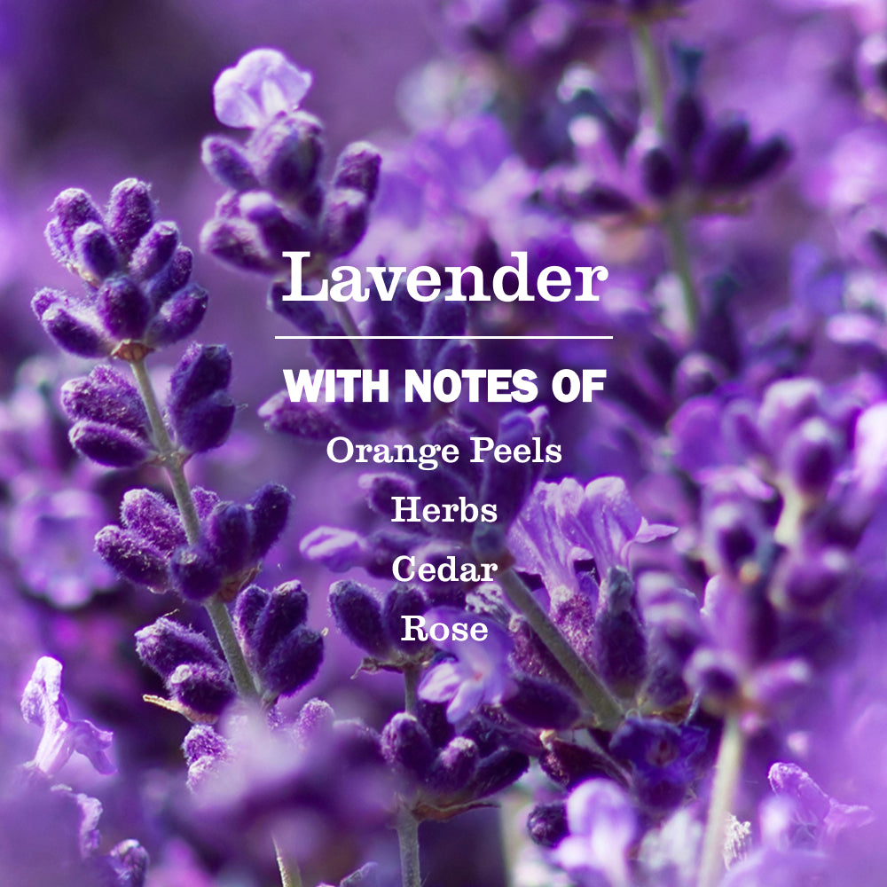 Lavender Fabric Softener - Image 3