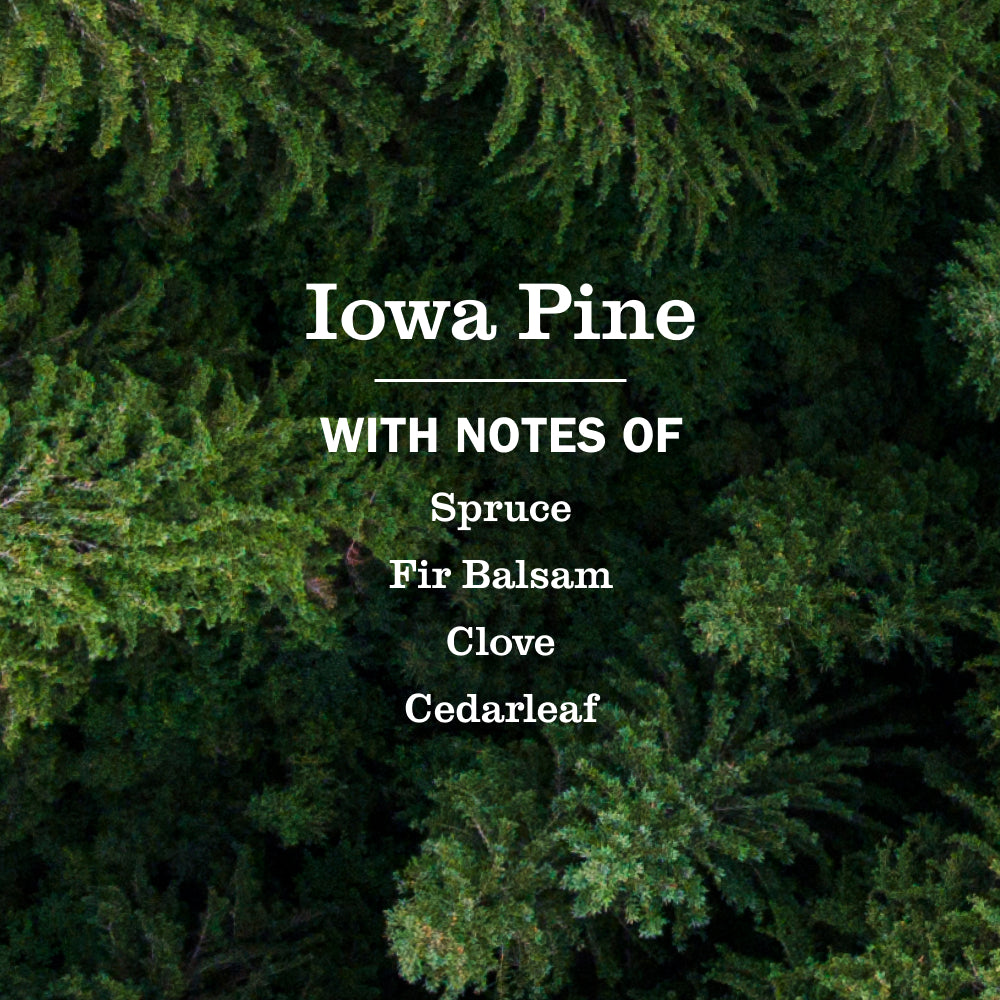 Iowa Pine Liquid Hand Soap Refill - Image 4