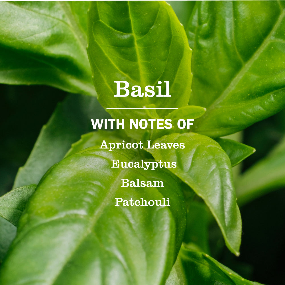 Basil Dish Soap Refill - Image 4