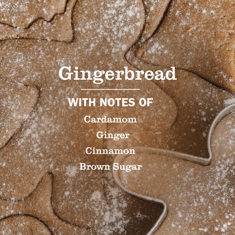 Gingerbread Multi-Surface Everyday Cleaner - Image 4