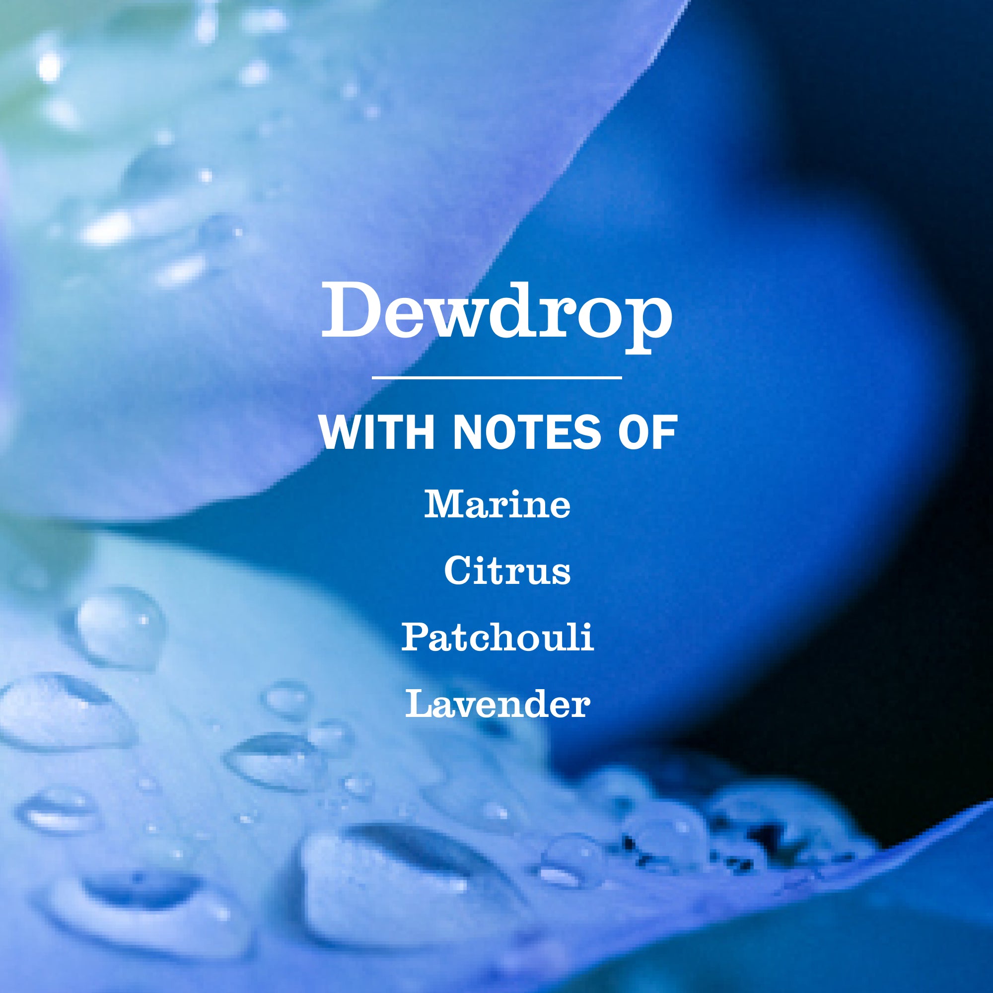 Dewdrop Multi-Surface Everyday Cleaner 3-count Bundle - Image 4