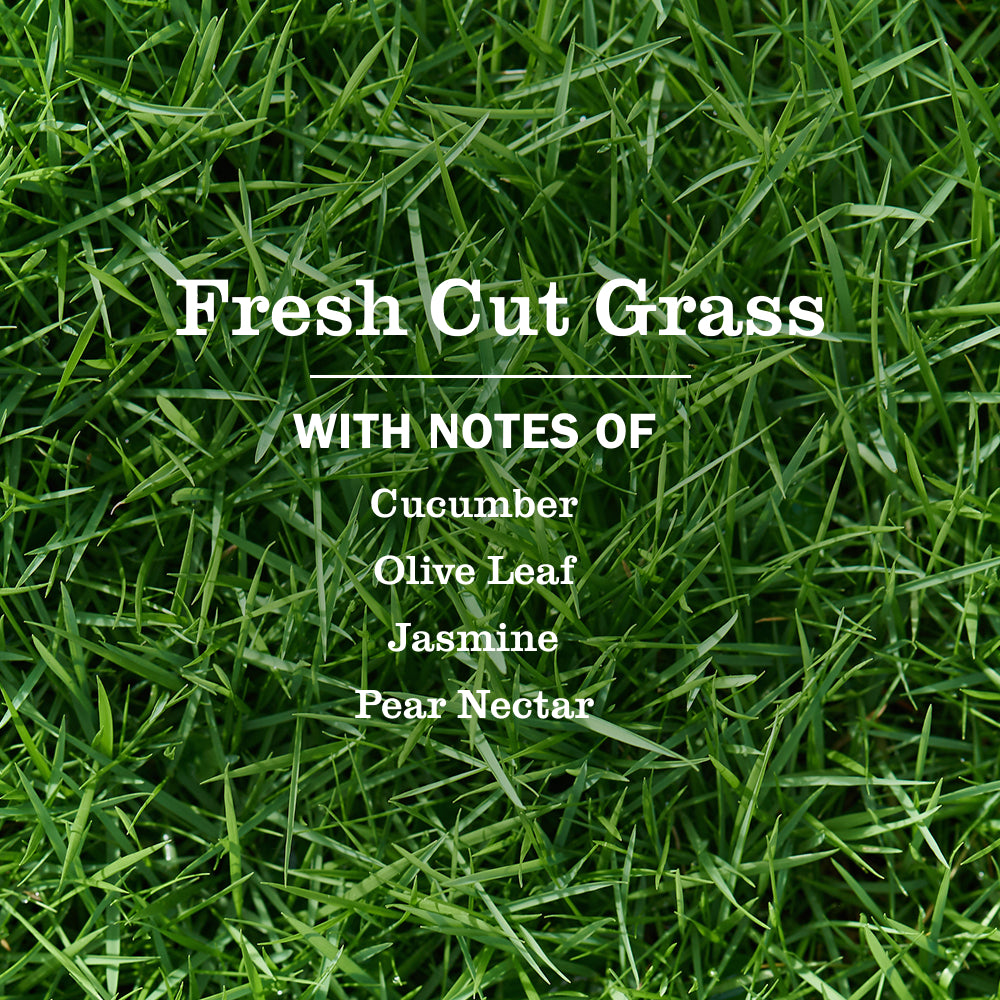 Fresh Cut Grass Dish Soap - Image 4