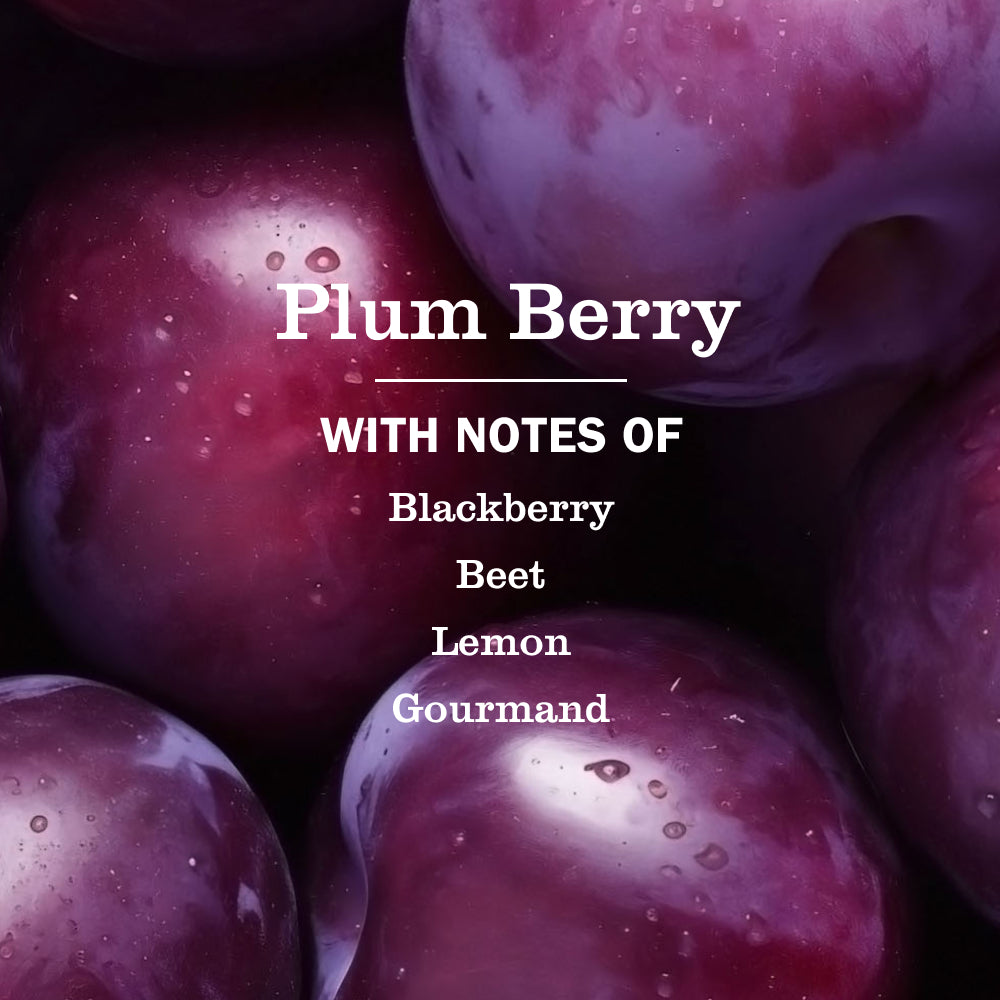 Plum Berry Liquid Hand Soap - Image 4