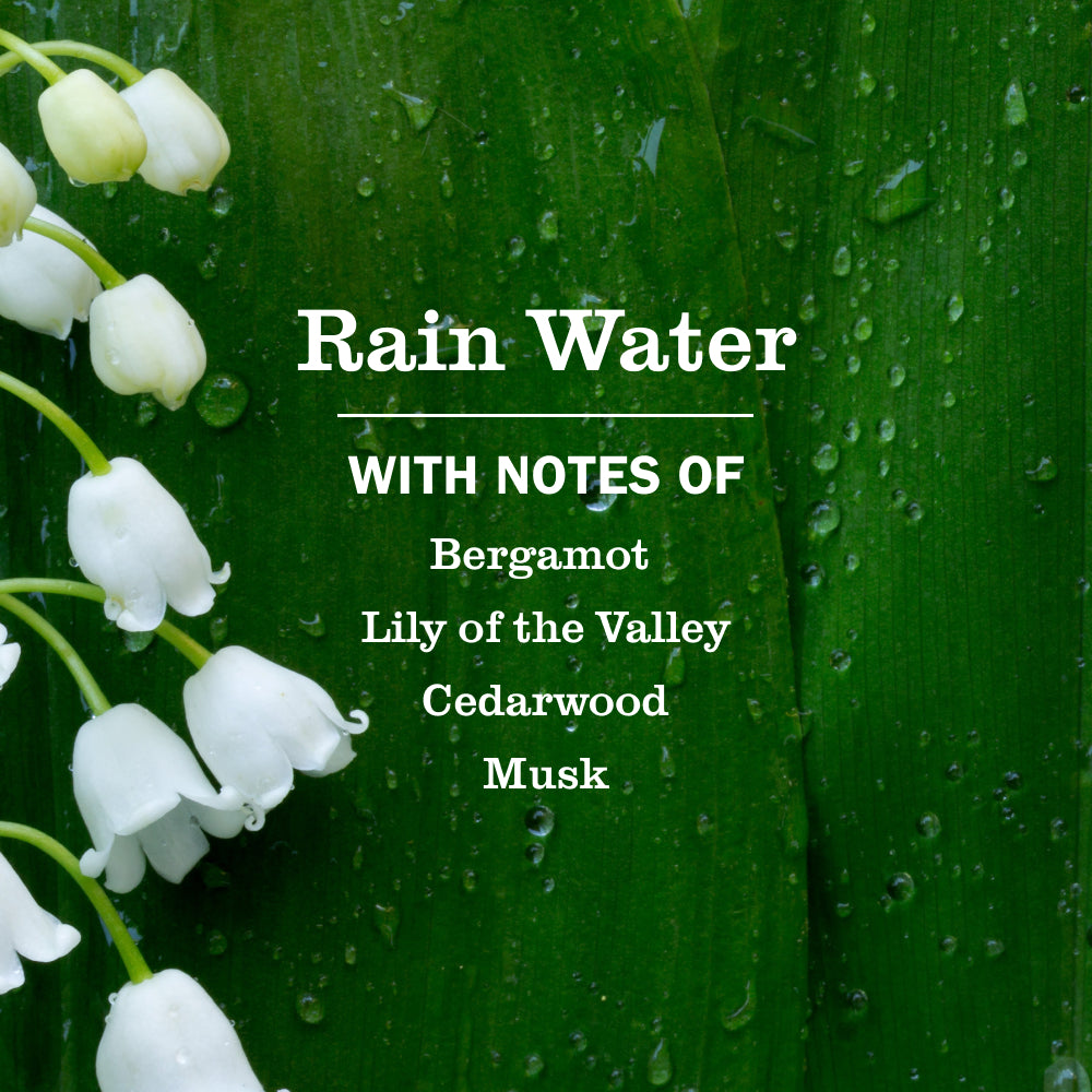 Rain Water Scent Booster - Image 3