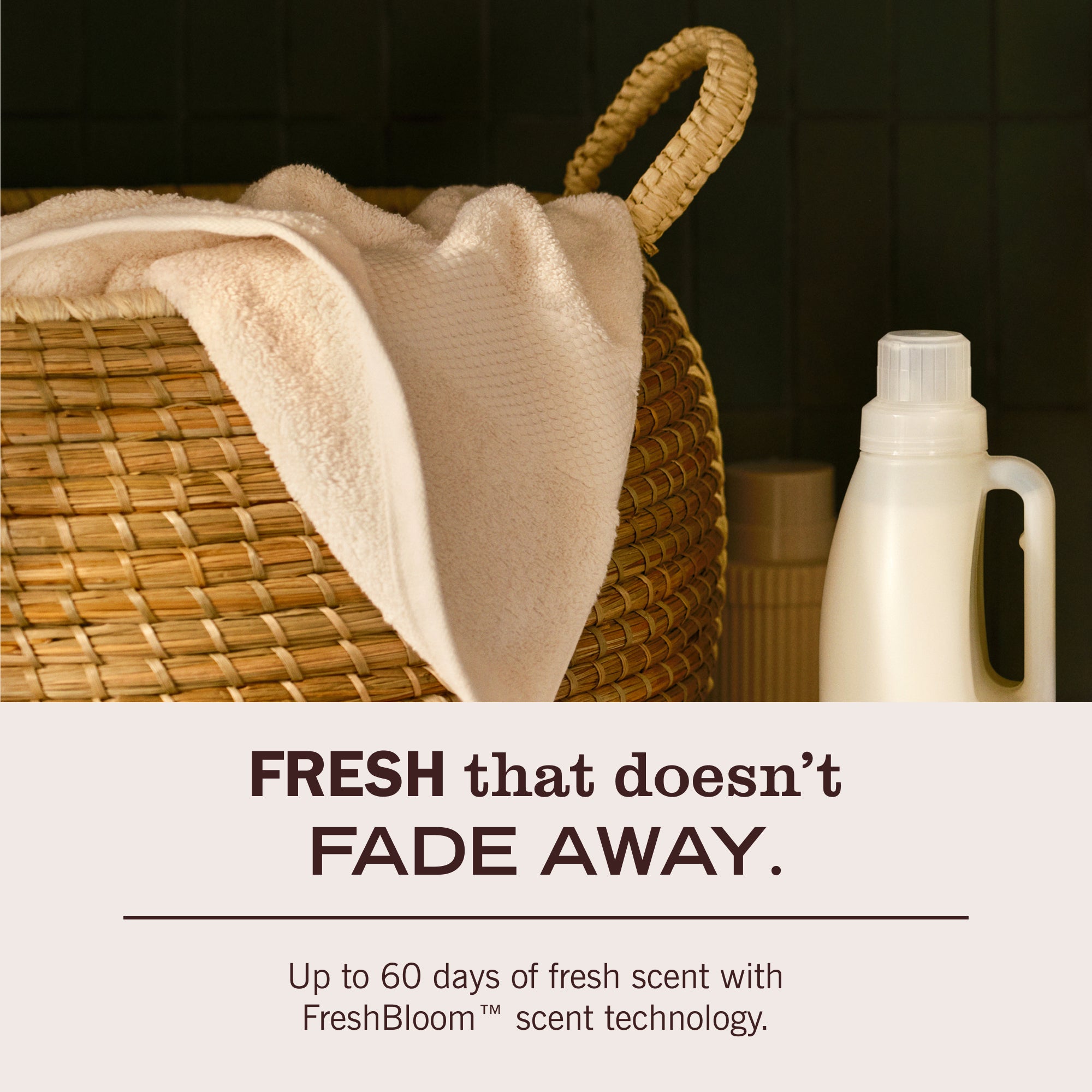 Lavender Fabric Softener - Image 7